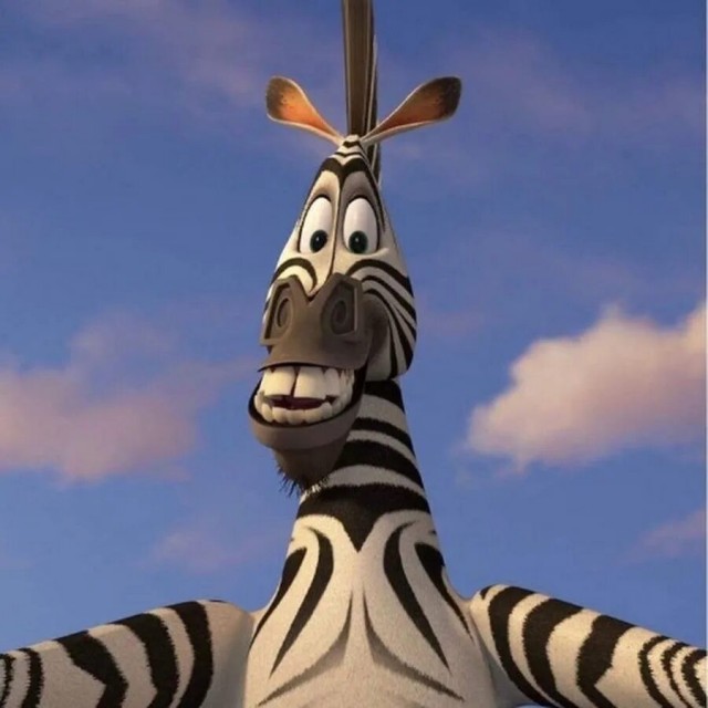 Тупая зебра зачем-то полезла купаться