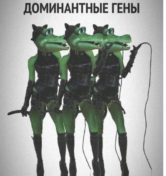 Маленькая пятница 12.02.25