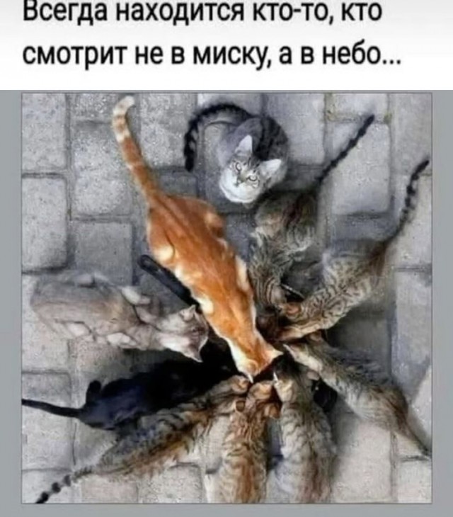 Так себе картинки 19.03.25
