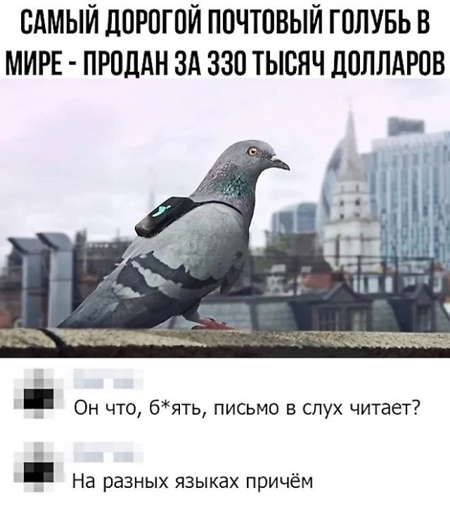 Всякая всячина