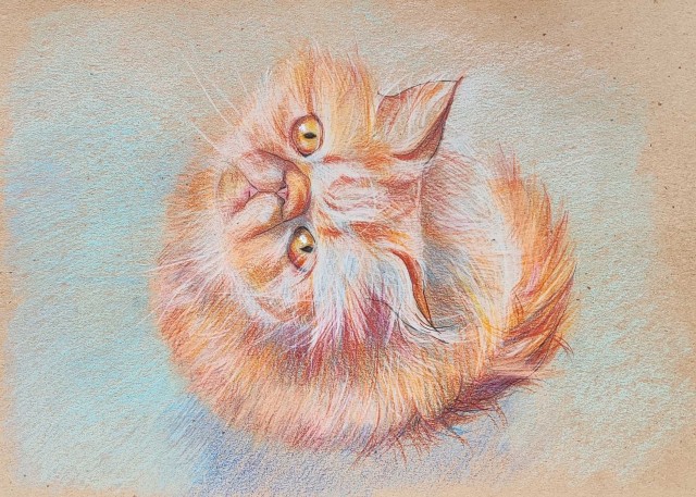 Мои рисунки животных