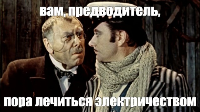 В Новороссийске мужчина ударил костылём чихуахуа, после чего её задавила машина