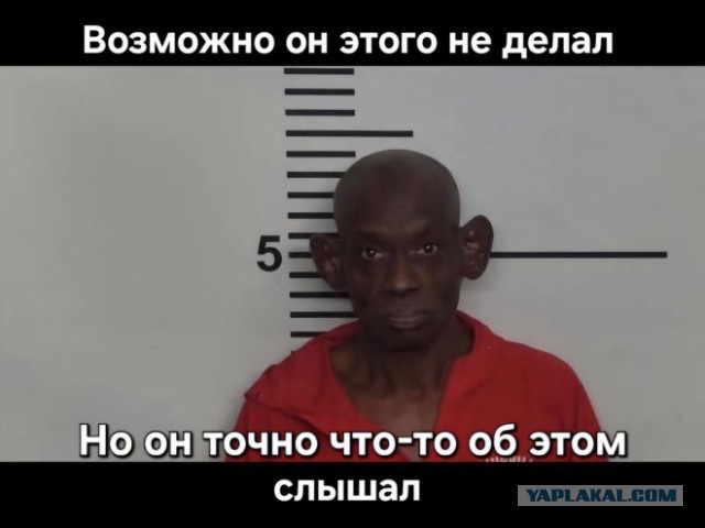 Картинки для деградации 43 (разной степени свежести)