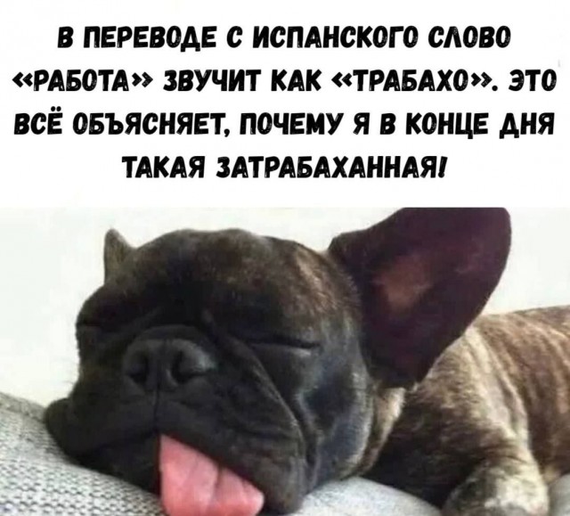 Веселые картинки в маленькую пятницу (24.09)