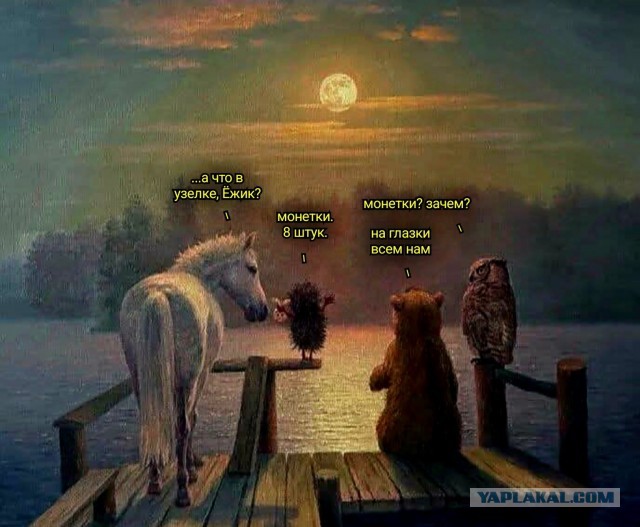Быстрая деградация