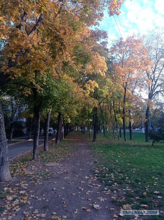 Осень в объективе.