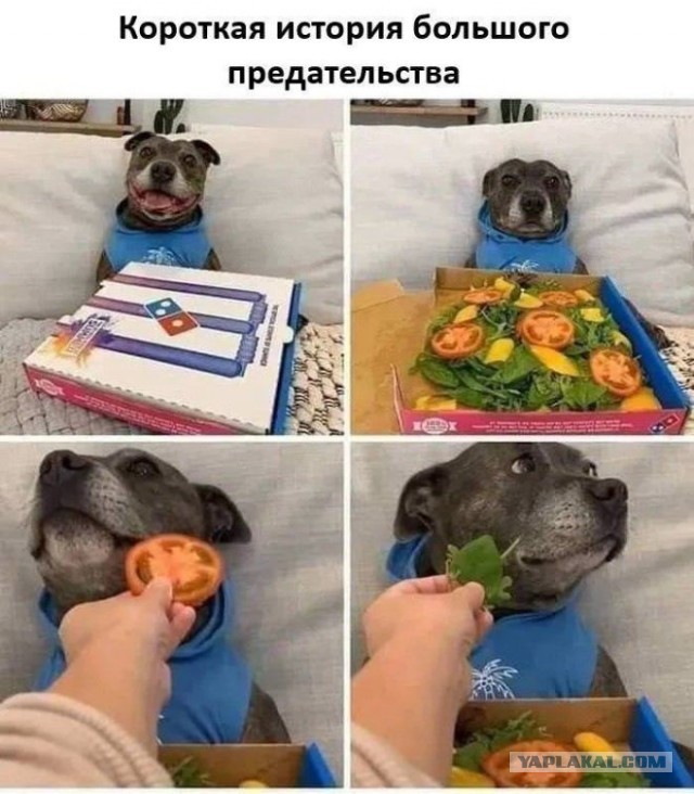Среды картинки