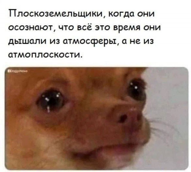 Специально для Юрия Лозы