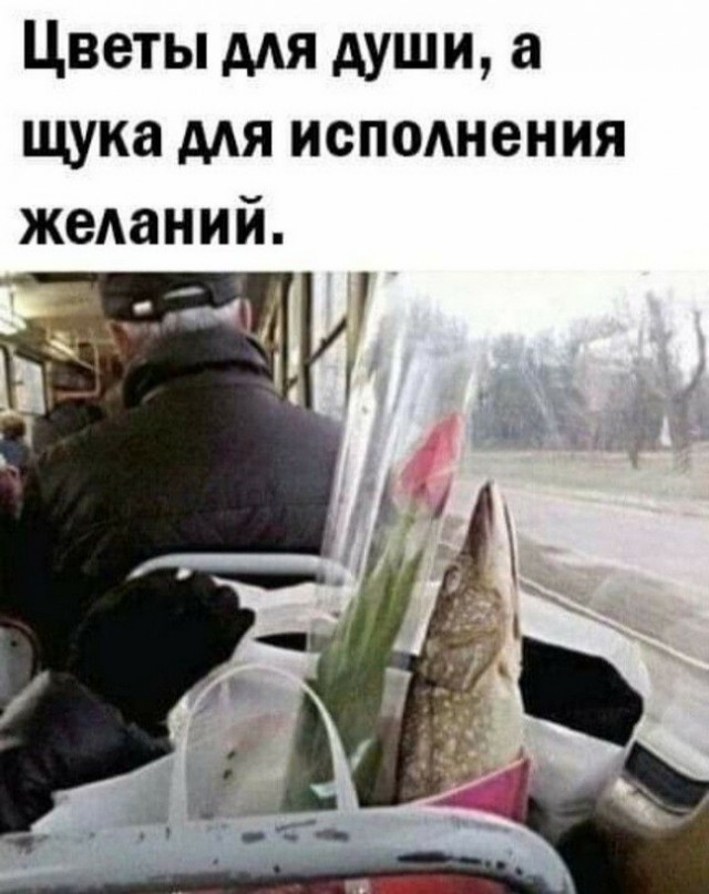 Так себе картинки 04.01.26