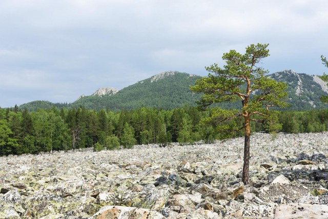 Деревенская Америка - 10