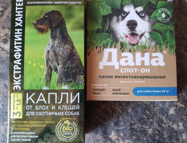 Собакочетверг. Встречаем весну.