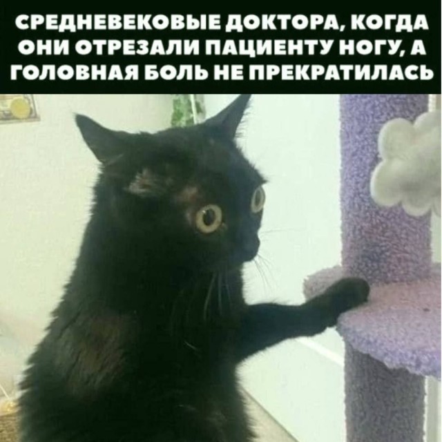 Картинки для деградации 165 (разной степени свежести)