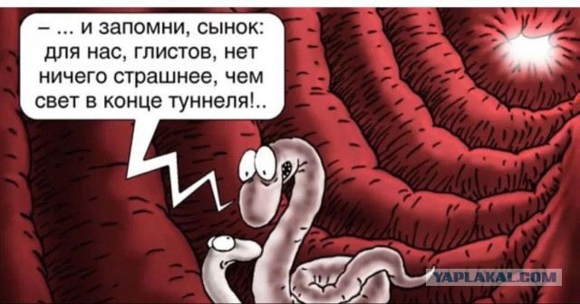 Рептилоиды предадут всегда