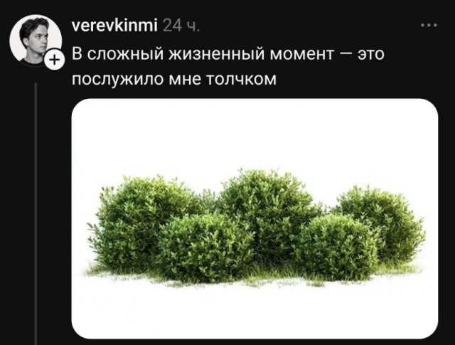 Картиночки, баянчики 14 мая