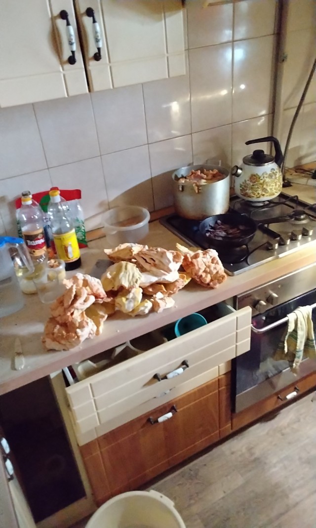 Городские древесные грибы