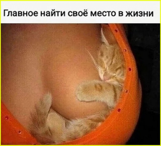 Картиночки, баянчики 01 июля