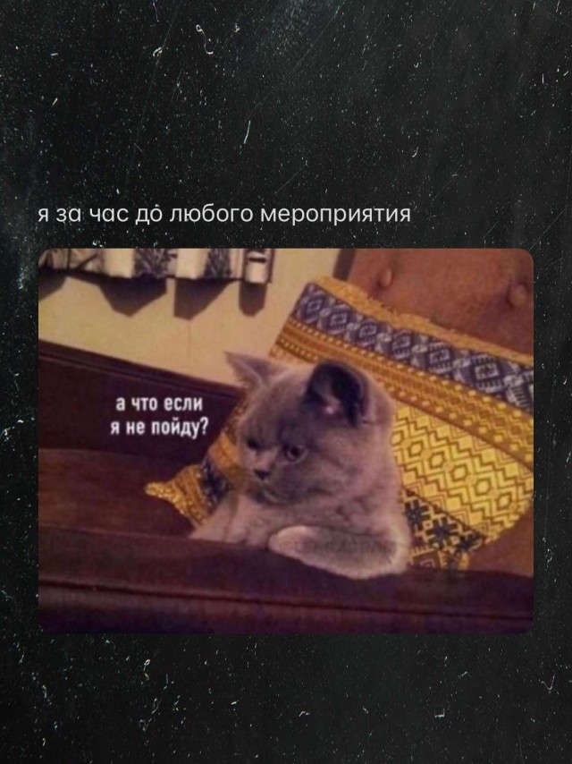 Картинки для деградации 308 (разной степени свежести)