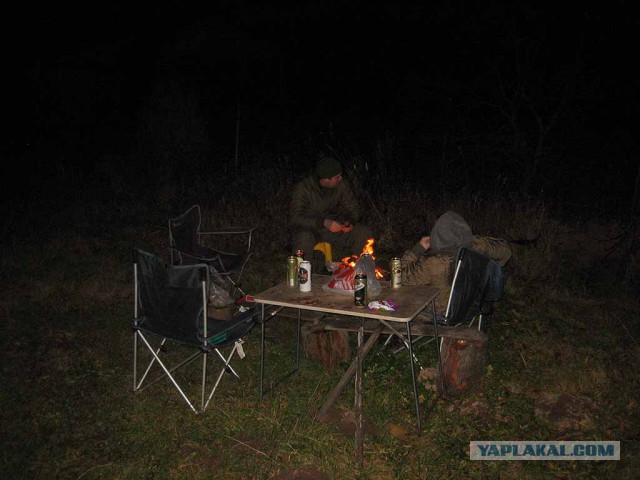 Хобби живёт вопреки.