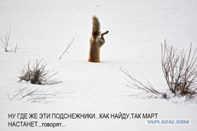 Март ты где ?