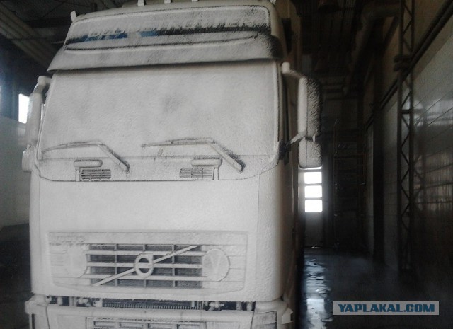 Где яблоки растут!