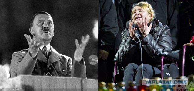 Семь наивных вопросов сторонникам Евромайдана