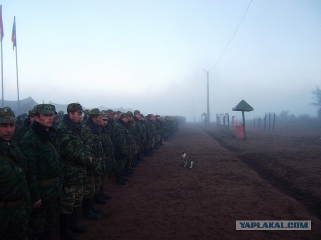 Сборы военнослужащих запаса
