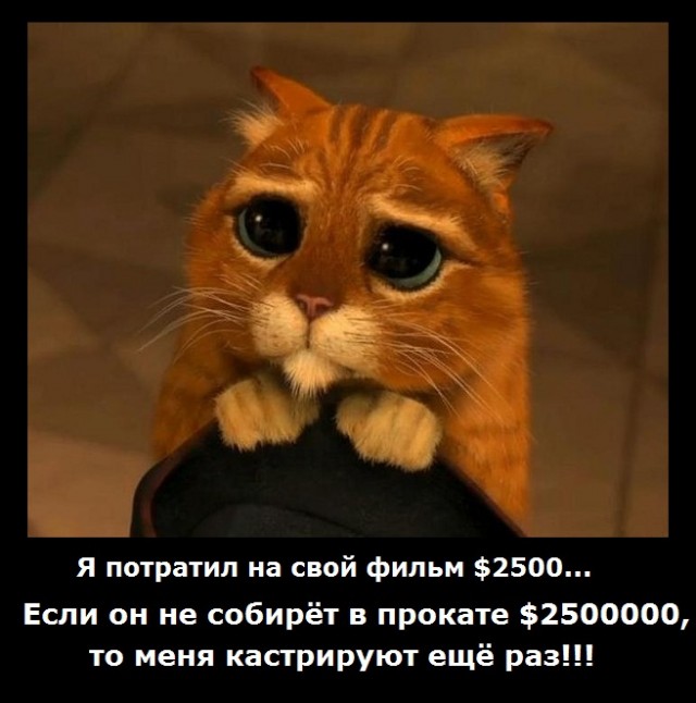 Фильм за 2500 $