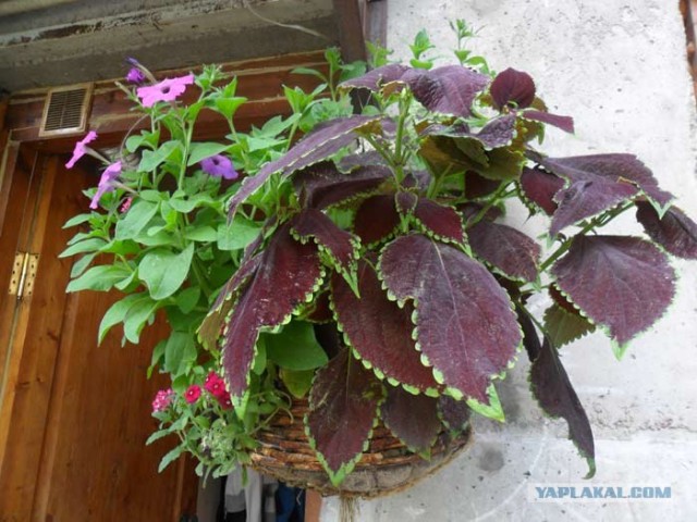 Корзинка из газет