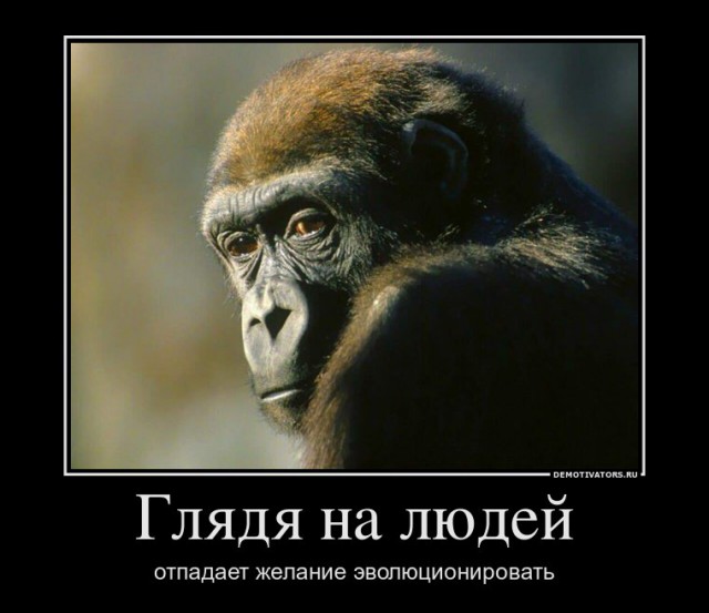 Вы хотите "демов"?
