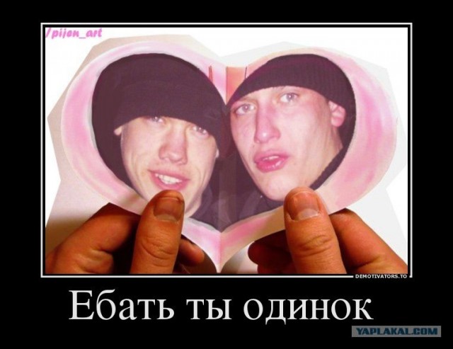 Из жизни сов