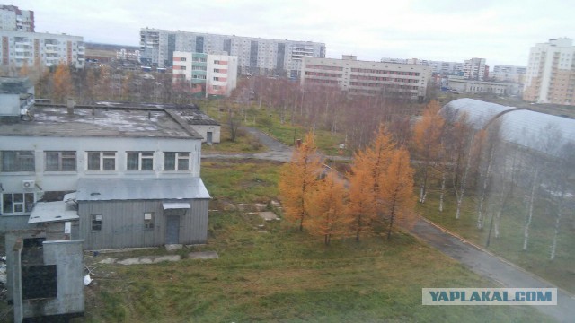 А за окном...