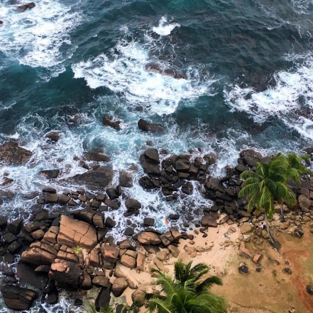 Самостоятельное путешествие в Шри-Ланку