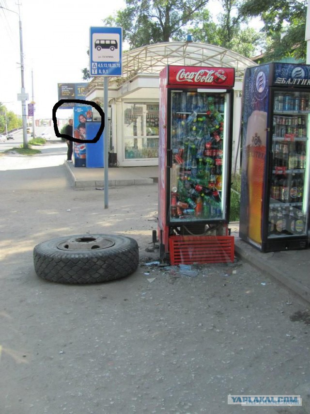 Свежая подборка прикольных картинок