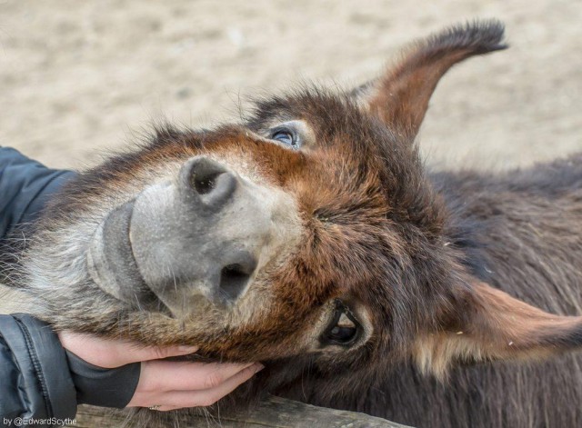 Подборка картинок