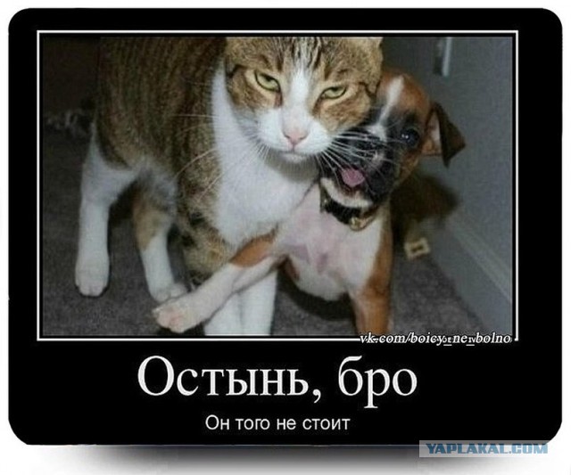 Очередная подборка картинок из интернета