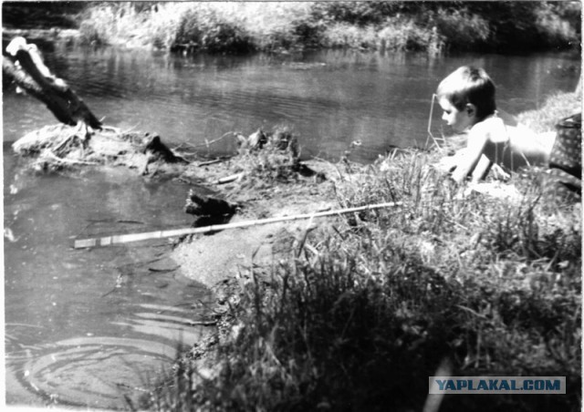 Вот оно какое наше лето!