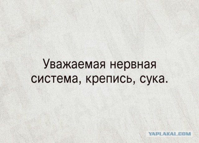 Смешные комментарии из социальных сетей 19.08.2016