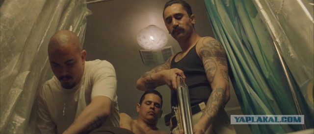 Первый тренировочный день. Тренировочный день. Тренировочный день 2001 питбуль.