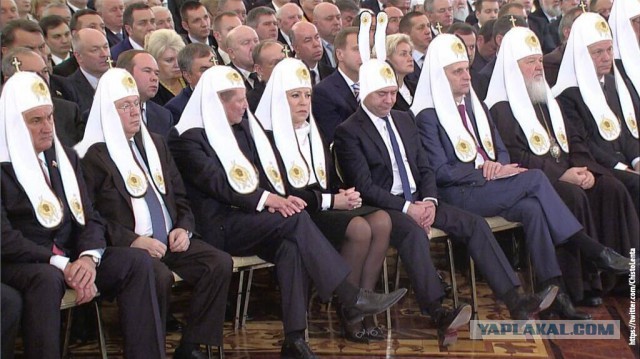 Дружное ржание над Димоном
