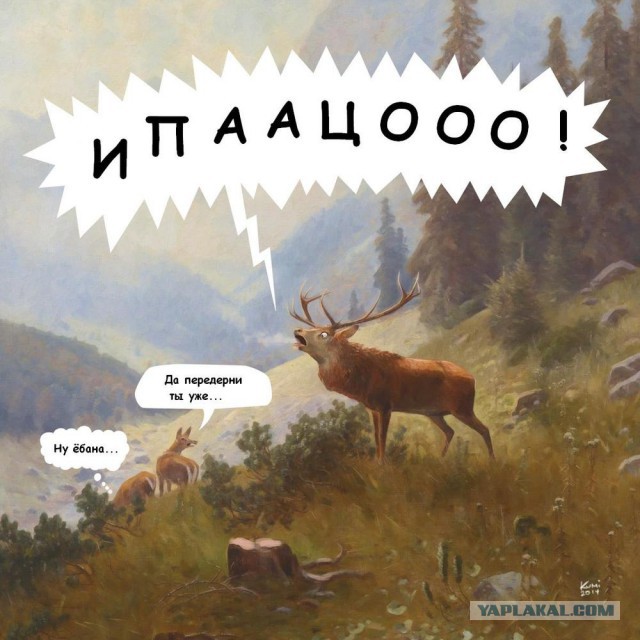 Видео.Напал доберман...?!