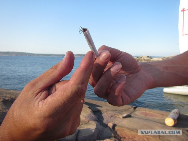 Путешествие на Катамаране