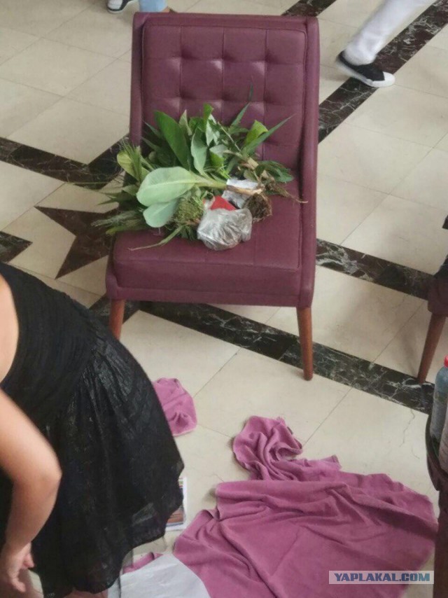 Туристы из Сургута пытались вынести из отеля в Турции цветы с корнями, "Бейлиз" и 14 рулонов туалетной бумаги