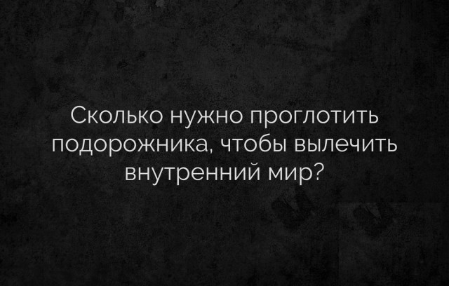 Смешные комментарии из социальных сетей 11.08.2017