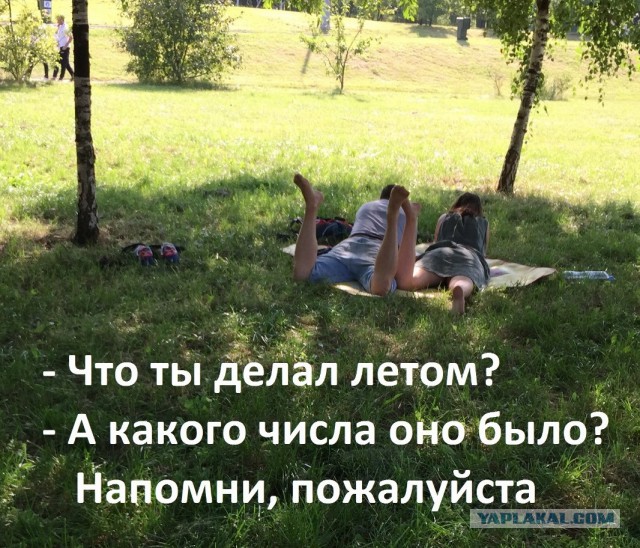150 картинок для поднятия настроения!