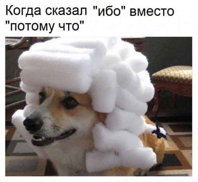 Приколы в стиле "Когда..."