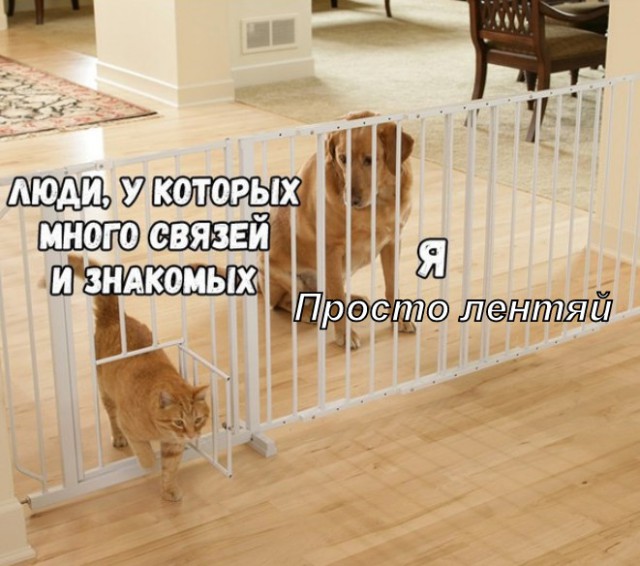 Нестандартный юмор