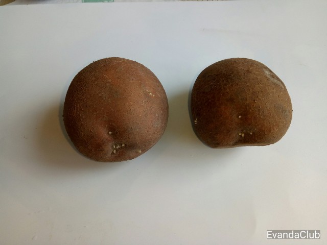 Пюре ,картофельное пюре