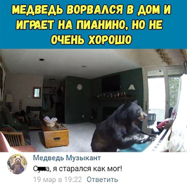 Порция картинок на пятницу