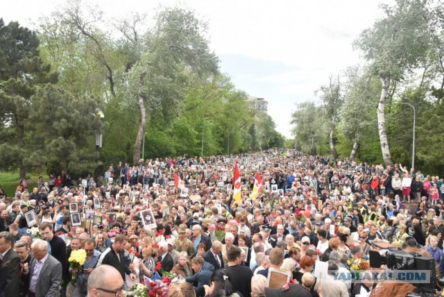 Парады Победы 9 мая 2018 год. Акции «Бессмертный полк»