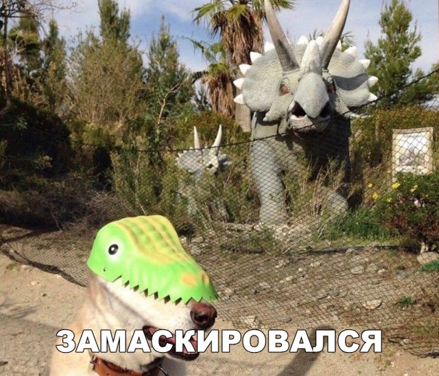 Нестандартный юмор